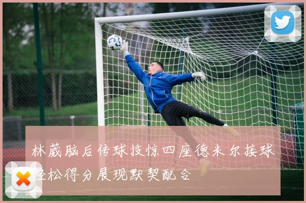 林葳脑后传球技惊四座德米尔接球轻松得分展现默契配合
