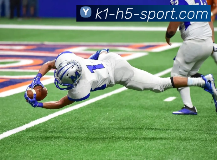 k1体育平台生态图